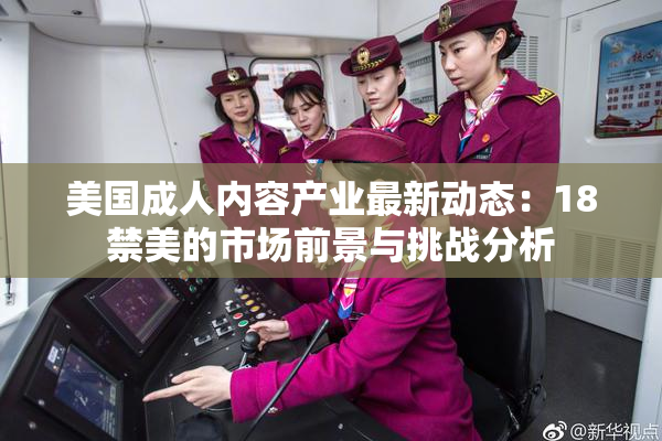 美国成人内容产业最新动态：18禁美的市场前景与挑战分析