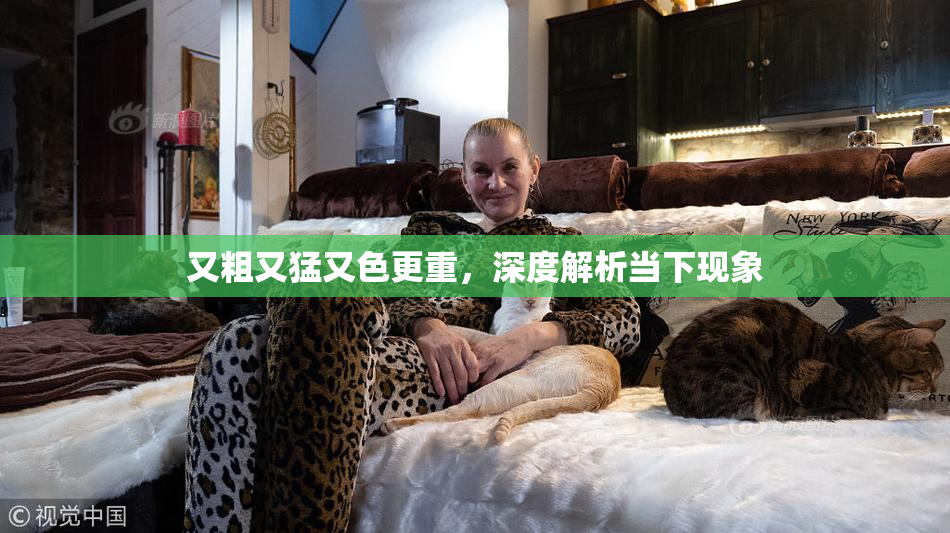 又粗又猛又色更重，深度解析当下现象
