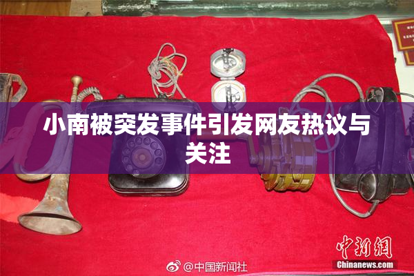 小南被突发事件引发网友热议与关注