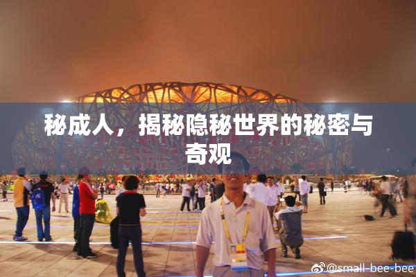 秘成人，揭秘隐秘世界的秘密与奇观