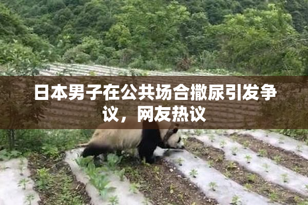 日本男子在公共场合撒尿引发争议，网友热议