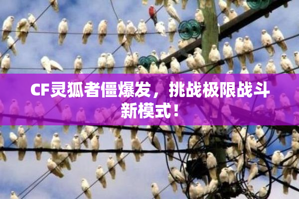 CF灵狐者僵爆发，挑战极限战斗新模式！