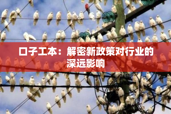 口子工本：解密新政策对行业的深远影响