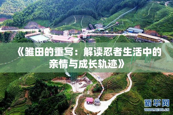 《雏田的重写：解读忍者生活中的亲情与成长轨迹》