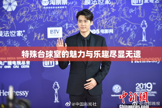 特殊台球室的魅力与乐趣尽显无遗