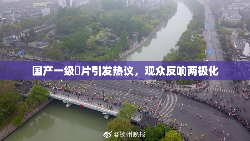 国产一级婬片引发热议，观众反响两极化