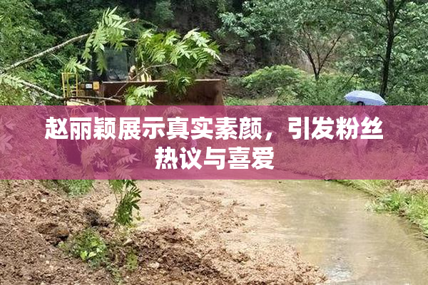 赵丽颖展示真实素颜，引发粉丝热议与喜爱