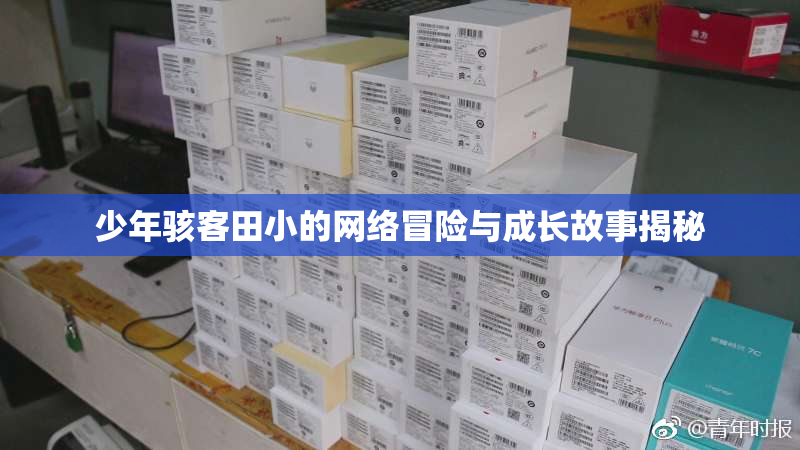 少年骇客田小的网络冒险与成长故事揭秘