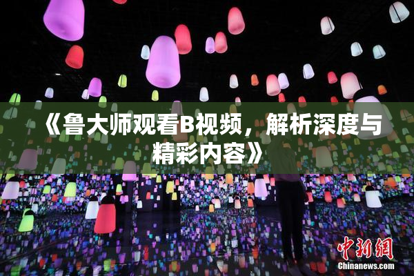 《鲁大师观看B视频，解析深度与精彩内容》