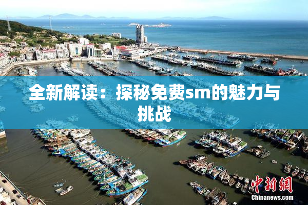 全新解读：探秘免费sm的魅力与挑战