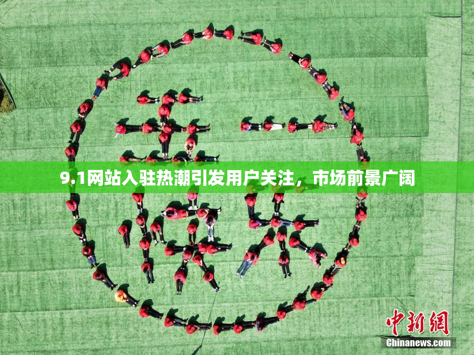 9.1网站入驻热潮引发用户关注，市场前景广阔