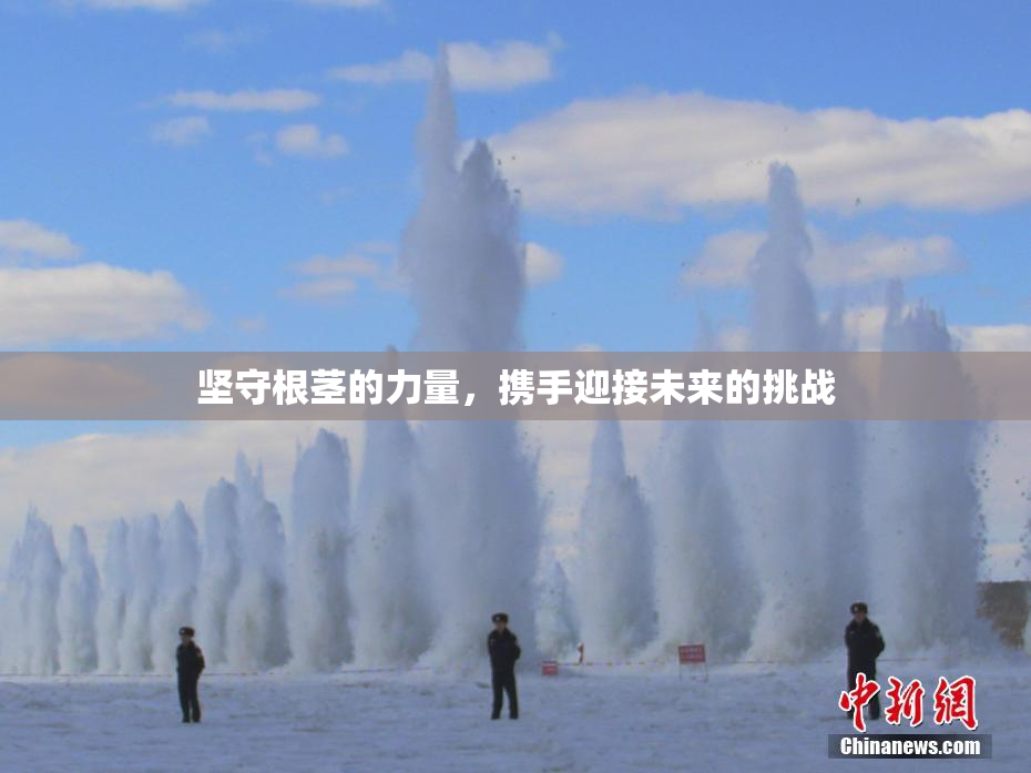 坚守根茎的力量，携手迎接未来的挑战