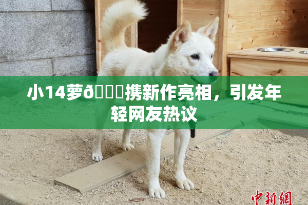 小14萝🔞携新作亮相，引发年轻网友热议