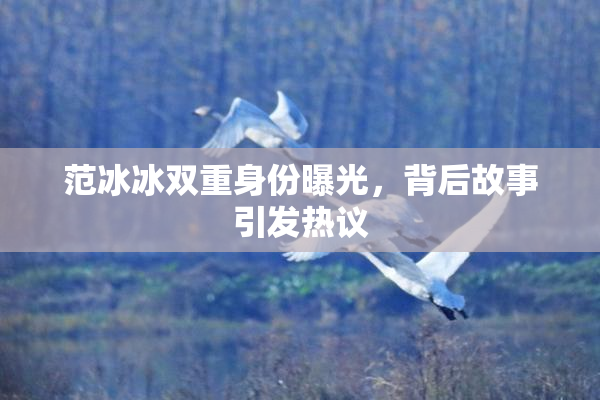 范冰冰双重身份曝光，背后故事引发热议