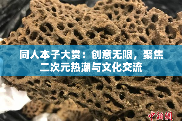 同人本子大赏：创意无限，聚焦二次元热潮与文化交流
