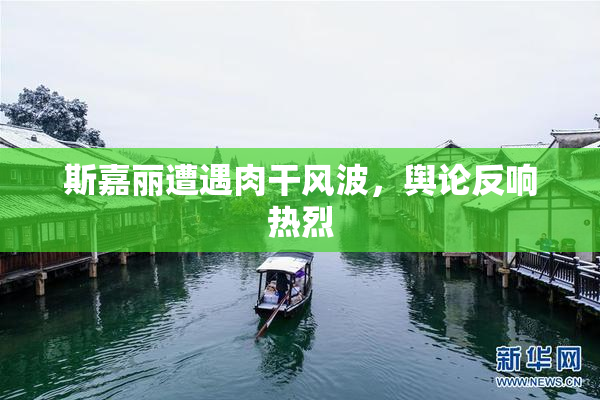 斯嘉丽遭遇肉干风波，舆论反响热烈
