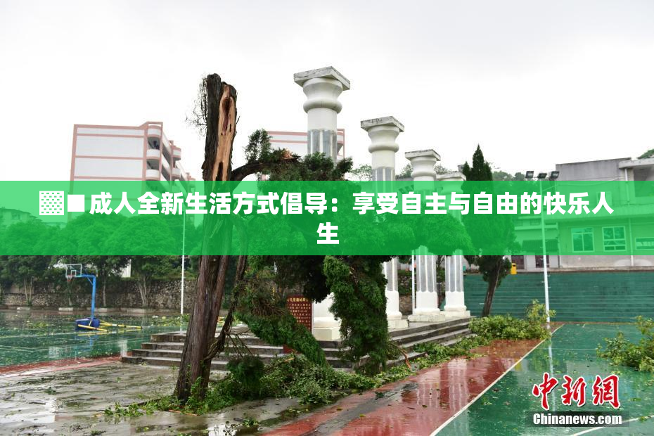 ▓■成人全新生活方式倡导：享受自主与自由的快乐人生