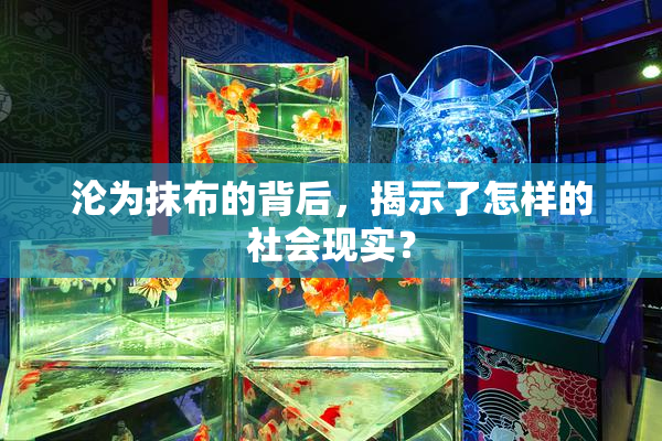沦为抹布的背后，揭示了怎样的社会现实？