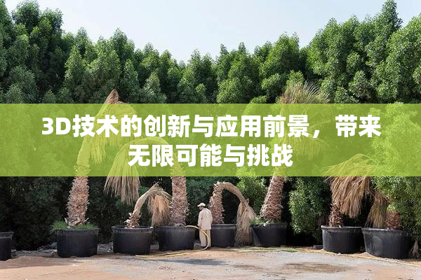 3D技术的创新与应用前景，带来无限可能与挑战