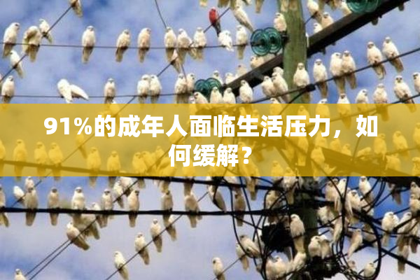 91%的成年人面临生活压力，如何缓解？