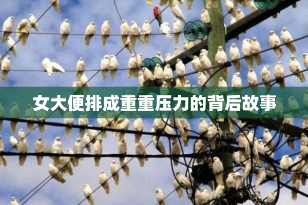 女大便排成重重压力的背后故事