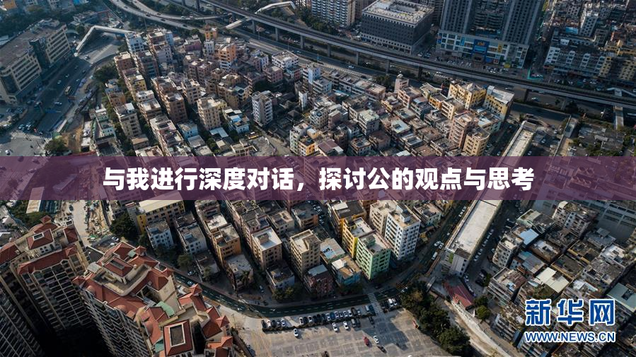 与我进行深度对话，探讨公的观点与思考