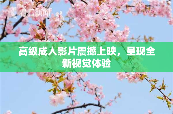 高级成人影片震撼上映，呈现全新视觉体验