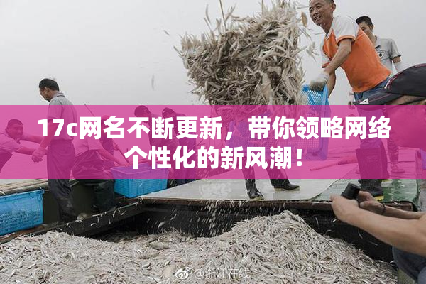 17c网名不断更新，带你领略网络个性化的新风潮！