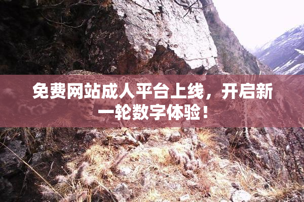免费网站成人平台上线，开启新一轮数字体验！