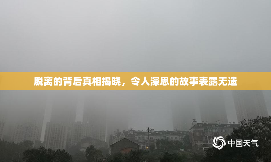 脱离的背后真相揭晓，令人深思的故事表露无遗