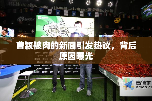 曹颖被肉的新闻引发热议，背后原因曝光