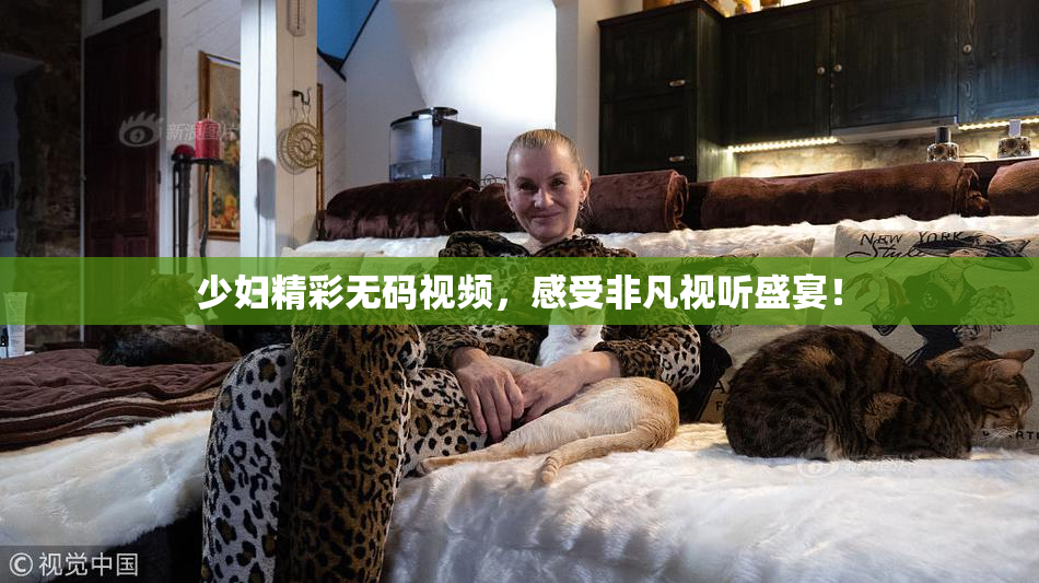 少妇精彩无码视频，感受非凡视听盛宴！