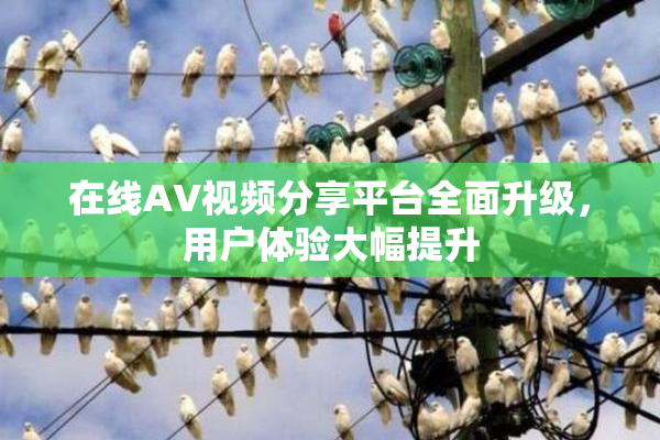 在线AV视频分享平台全面升级，用户体验大幅提升