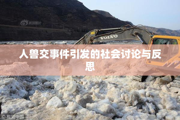 人兽交事件引发的社会讨论与反思