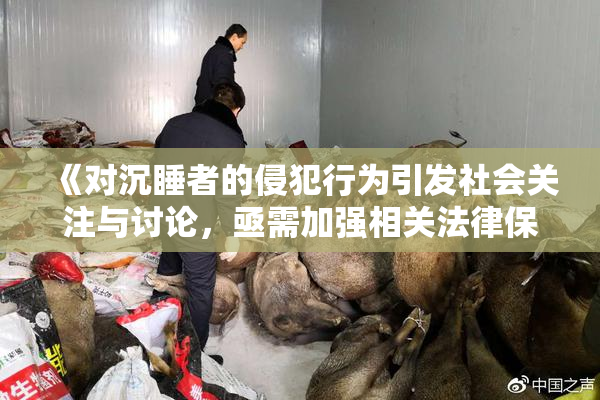 《对沉睡者的侵犯行为引发社会关注与讨论，亟需加强相关法律保护》