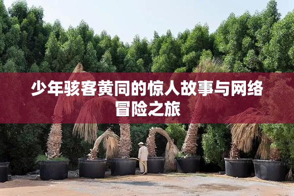 少年骇客黄同的惊人故事与网络冒险之旅