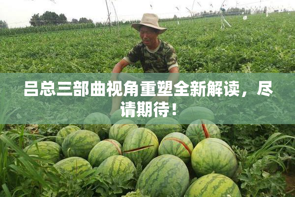 吕总三部曲视角重塑全新解读，尽请期待！