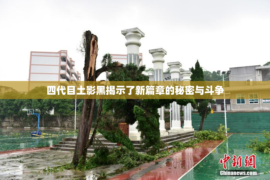 四代目土影黑揭示了新篇章的秘密与斗争