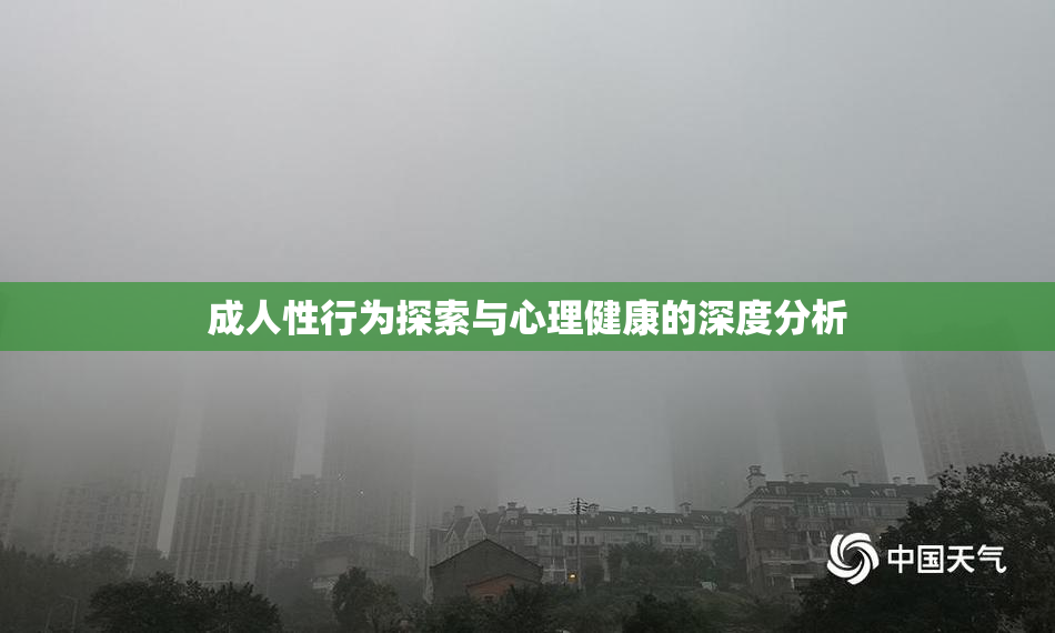 成人性行为探索与心理健康的深度分析