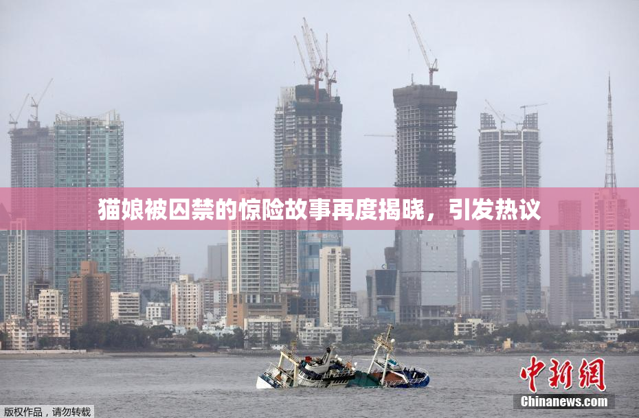猫娘被囚禁的惊险故事再度揭晓，引发热议