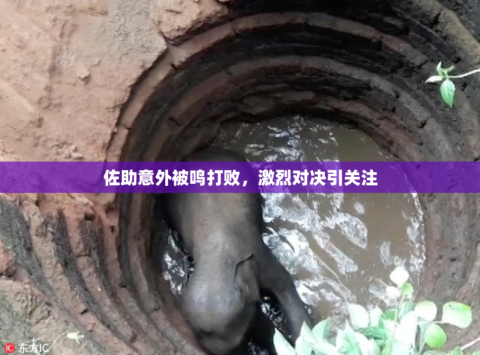 佐助意外被鸣打败，激烈对决引关注