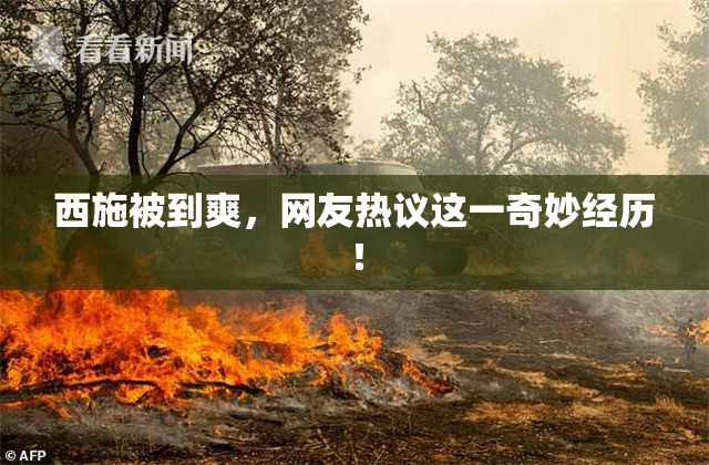 西施被到爽，网友热议这一奇妙经历！