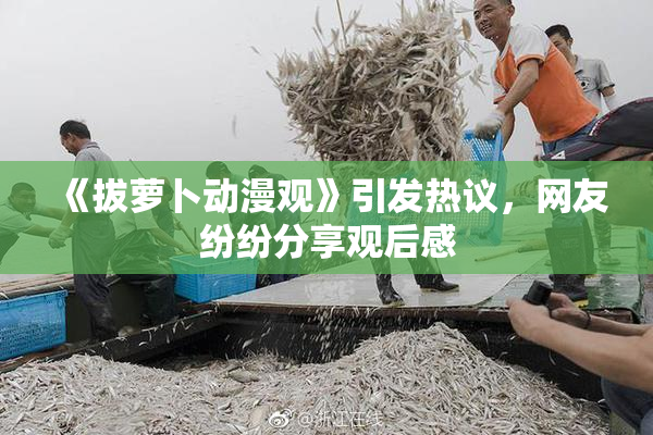 《拔萝卜动漫观》引发热议，网友纷纷分享观后感