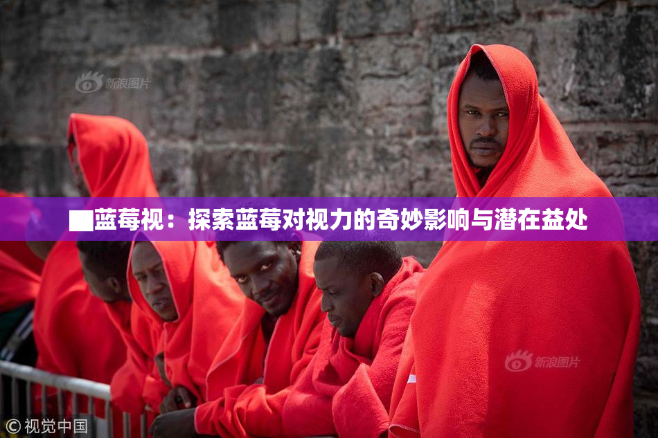 ▇蓝莓视：探索蓝莓对视力的奇妙影响与潜在益处