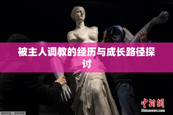 被主人调教的经历与成长路径探讨