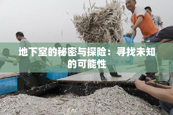 地下室的秘密与探险：寻找未知的可能性