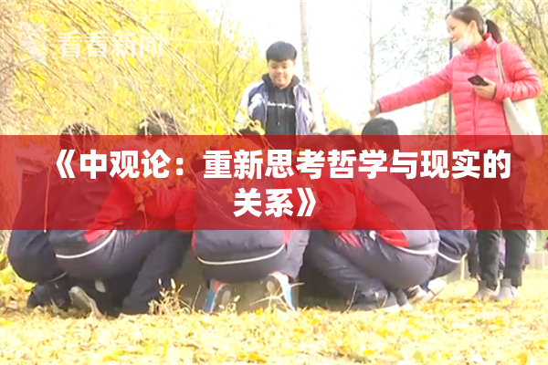 《中观论：重新思考哲学与现实的关系》