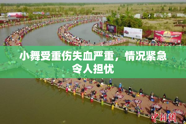 小舞受重伤失血严重，情况紧急令人担忧