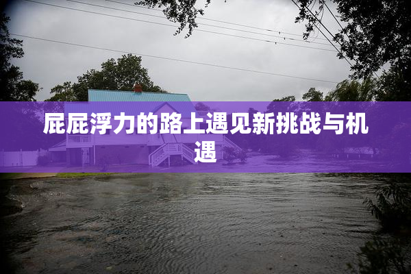 屁屁浮力的路上遇见新挑战与机遇