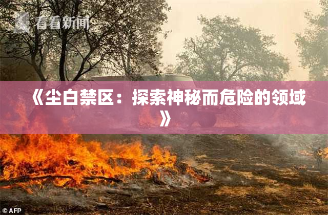 《尘白禁区：探索神秘而危险的领域》